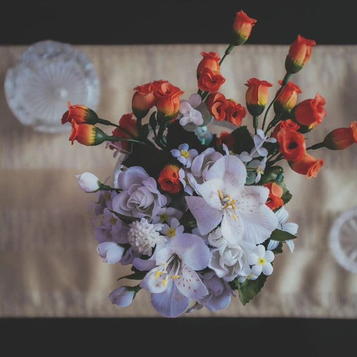 Prof. Adam Lindgren Sr.